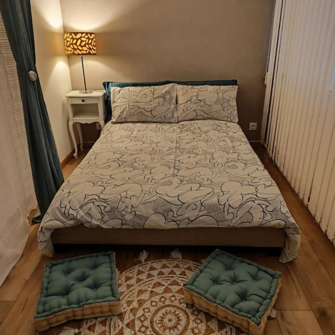 Superbe Cosy Duplex Appartement T3 Charpenne Tete D'Or Avec Parking Prive Gratuit Villeurbanne Kültér fotó