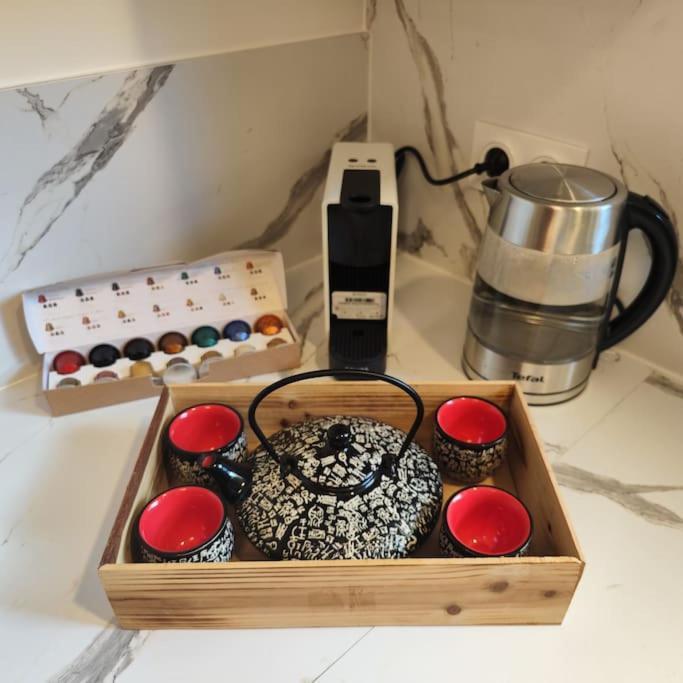 Superbe Cosy Duplex Appartement T3 Charpenne Tete D'Or Avec Parking Prive Gratuit Villeurbanne Kültér fotó