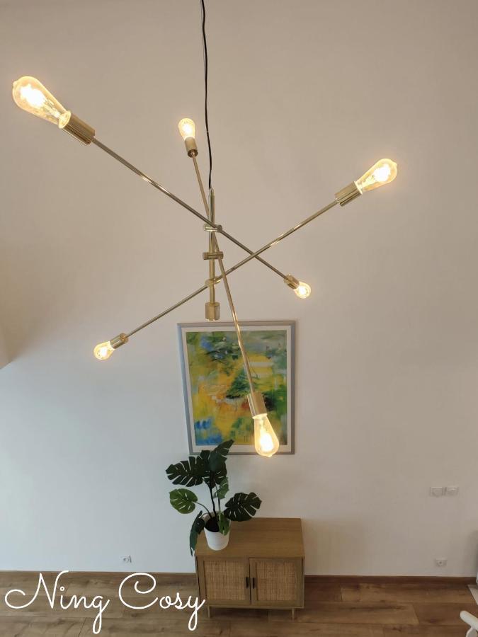Superbe Cosy Duplex Appartement T3 Charpenne Tete D'Or Avec Parking Prive Gratuit Villeurbanne Kültér fotó