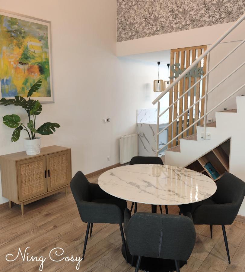 Superbe Cosy Duplex Appartement T3 Charpenne Tete D'Or Avec Parking Prive Gratuit Villeurbanne Kültér fotó