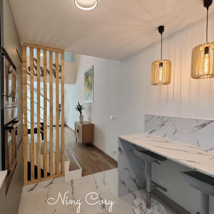Superbe Cosy Duplex Appartement T3 Charpenne Tete D'Or Avec Parking Prive Gratuit Villeurbanne Kültér fotó